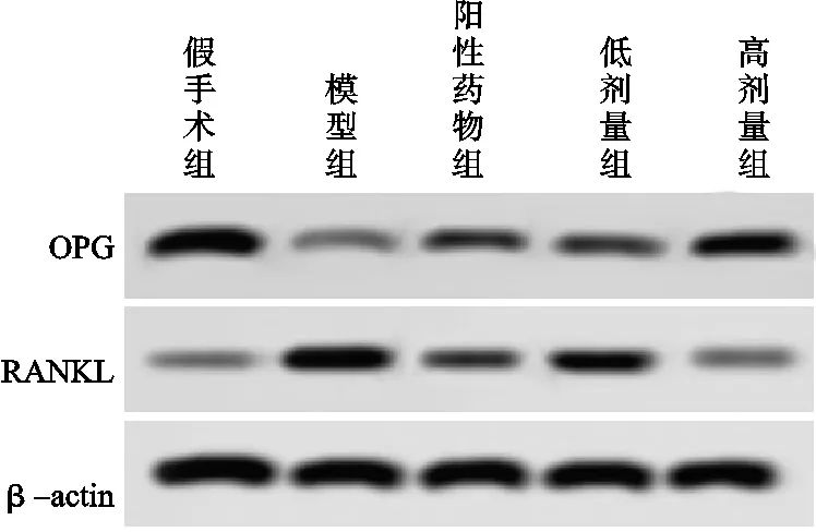 1670812221.jpg 7.jpg